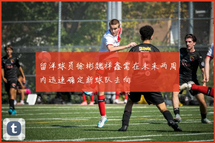 留洋球员徐彬魏祥鑫需在未来两周内迅速确定新球队去向