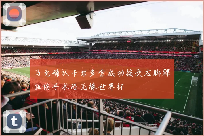 马竞确认卡尔多索成功接受右脚踝扭伤手术恐无缘世界杯